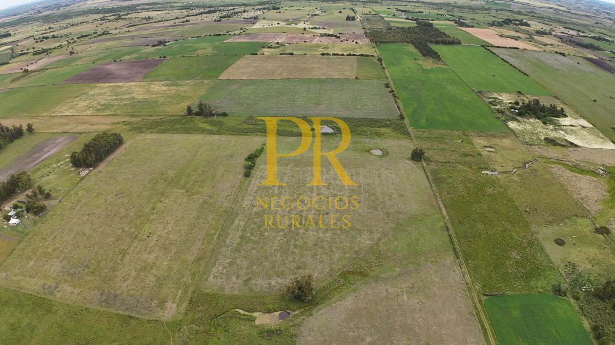 Campo Ref.28 - Campo en San Ramón - Tambo Completo - Casa + Galpones