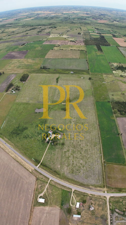 Campo Ref.28 - Campo en San Ramón - Tambo Completo - Casa + Galpones