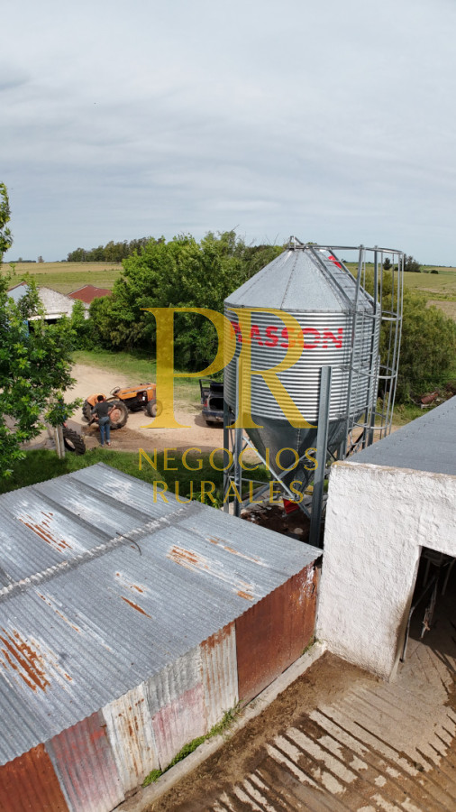 Campo Ref.28 - Campo en San Ramón - Tambo Completo - Casa + Galpones