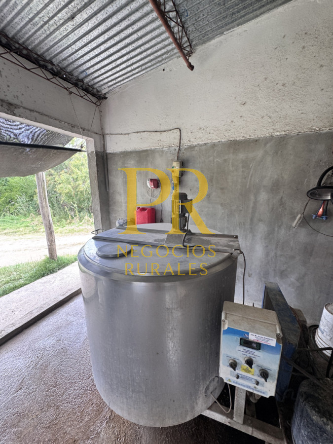 Campo Ref.28 - Campo en San Ramón - Tambo Completo - Casa + Galpones