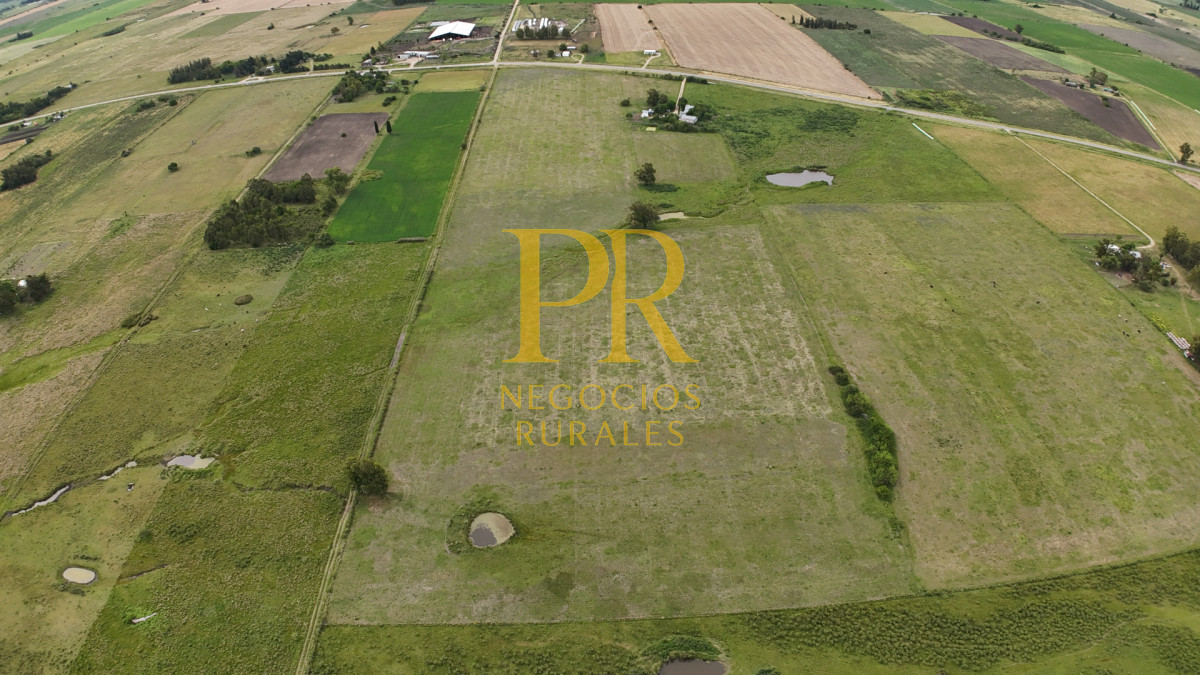 Campo Ref.28 - Campo en San Ramón - Tambo Completo - Casa + Galpones