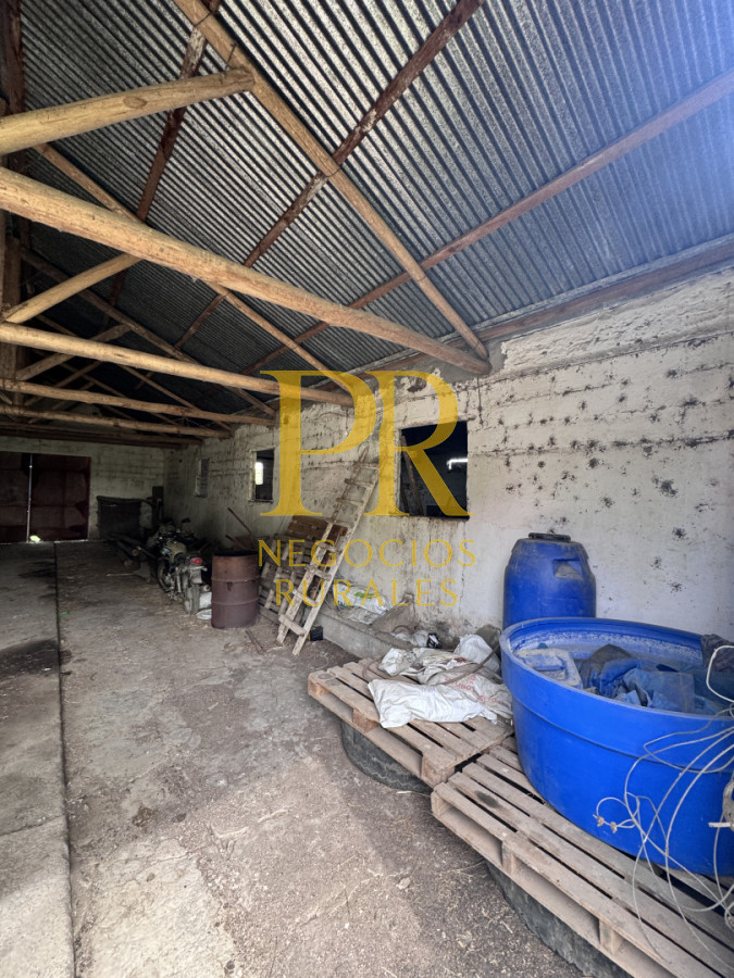 Campo Ref.28 - Campo en San Ramón - Tambo Completo - Casa + Galpones