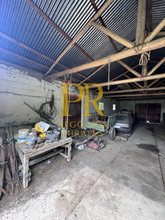 Campo Ref.28 - Campo en San Ramón - Tambo Completo - Casa + Galpones