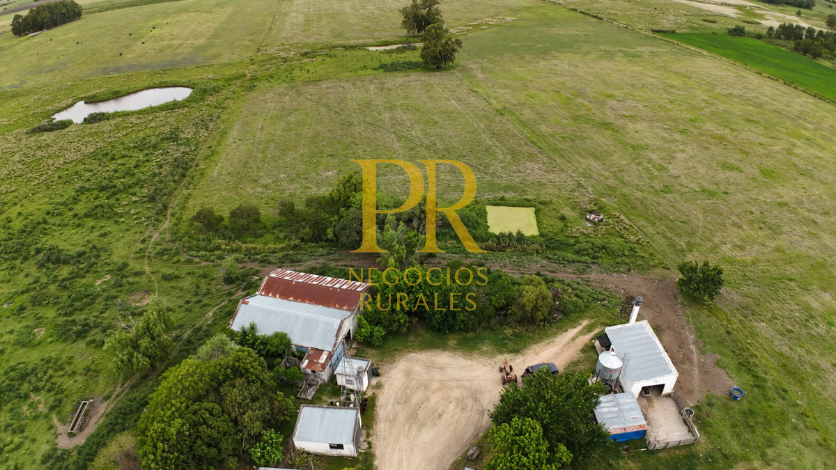 Campo Ref.28 - Campo en San Ramón - Tambo Completo - Casa + Galpones