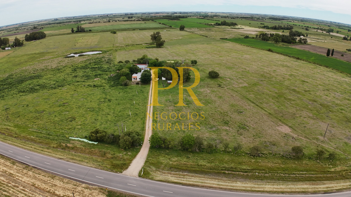 Campo Ref.28 - Campo en San Ramón - Tambo Completo - Casa + Galpones