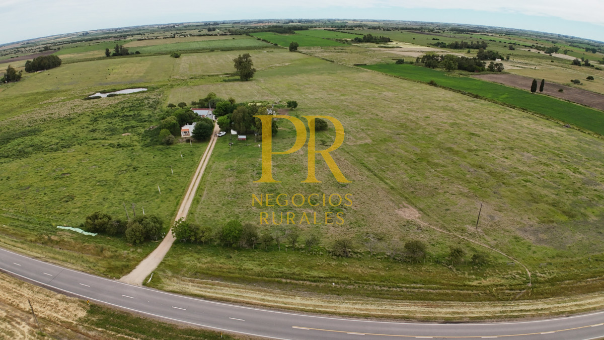 Campo Ref.28 - Campo en San Ramón - Tambo Completo - Casa + Galpones