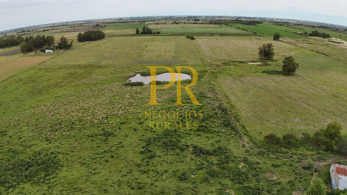 Campo Ref.28 - Campo en San Ramón - Tambo Completo - Casa + Galpones