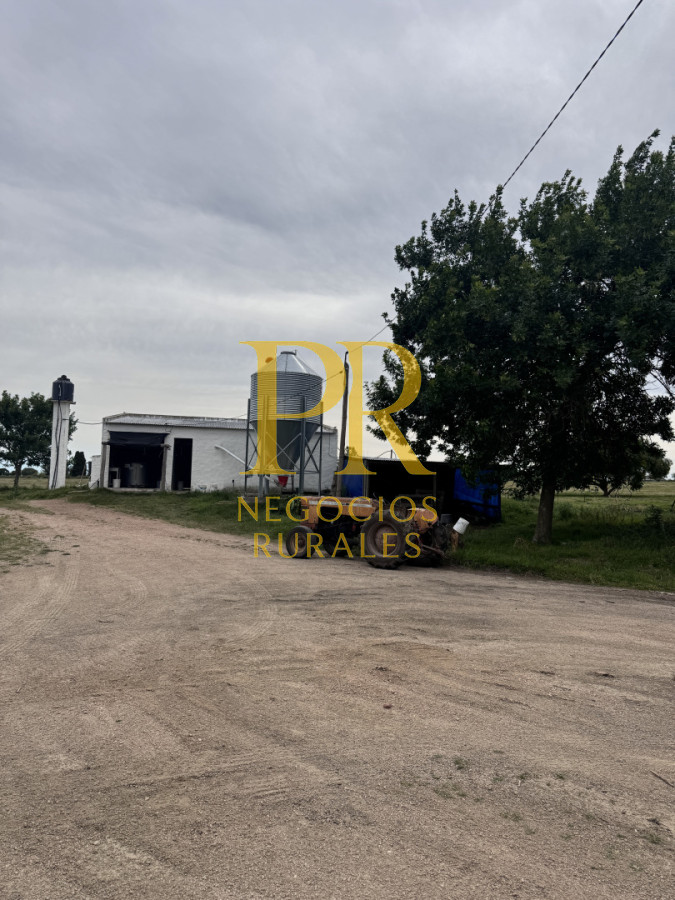 Campo Ref.28 - Campo en San Ramón - Tambo Completo - Casa + Galpones