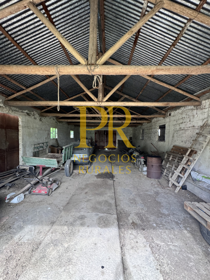 Campo Ref.28 - Campo en San Ramón - Tambo Completo - Casa + Galpones