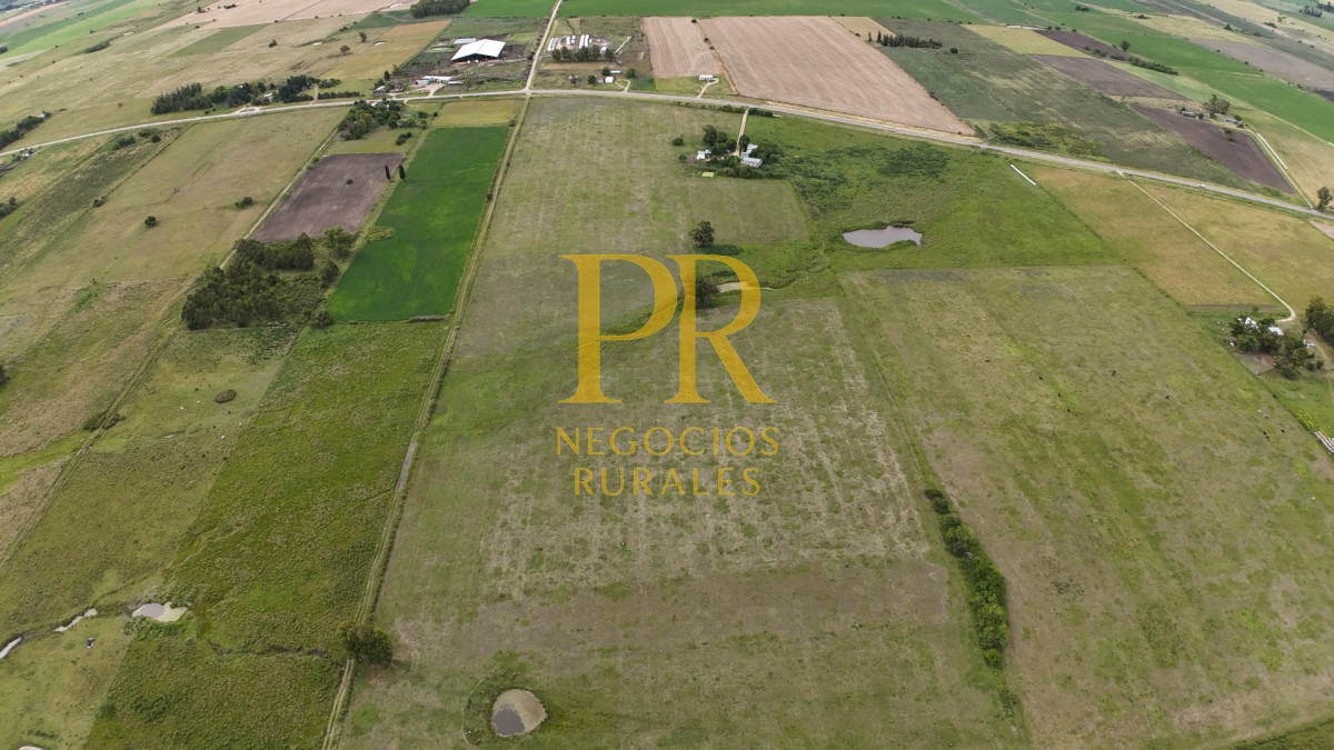 Campo Ref.28 - Campo en San Ramón - Tambo Completo - Casa + Galpones
