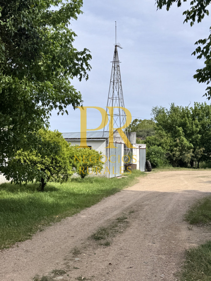 Campo Ref.28 - Campo en San Ramón - Tambo Completo - Casa + Galpones