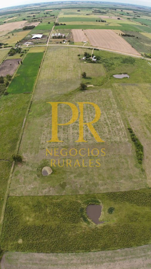 Campo Ref.28 - Campo en San Ramón - Tambo Completo - Casa + Galpones