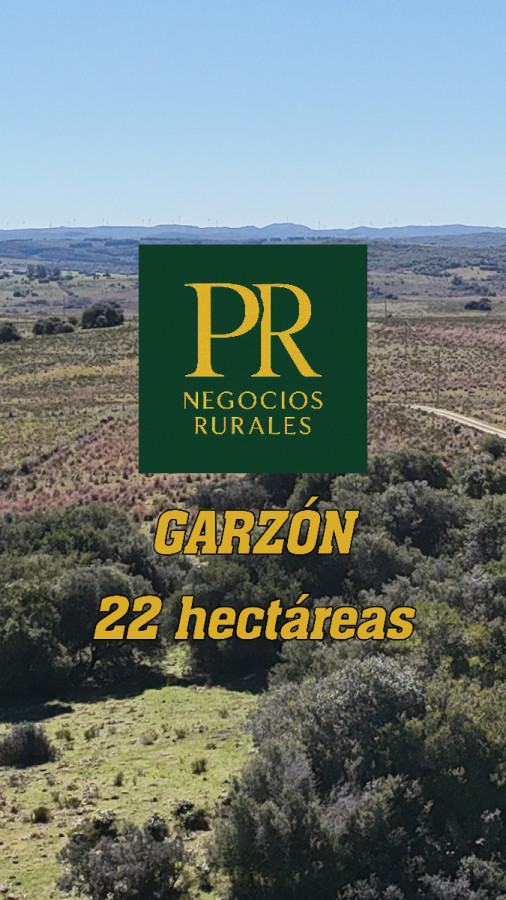 22 hectáreas Garzón - Paso la Cantera