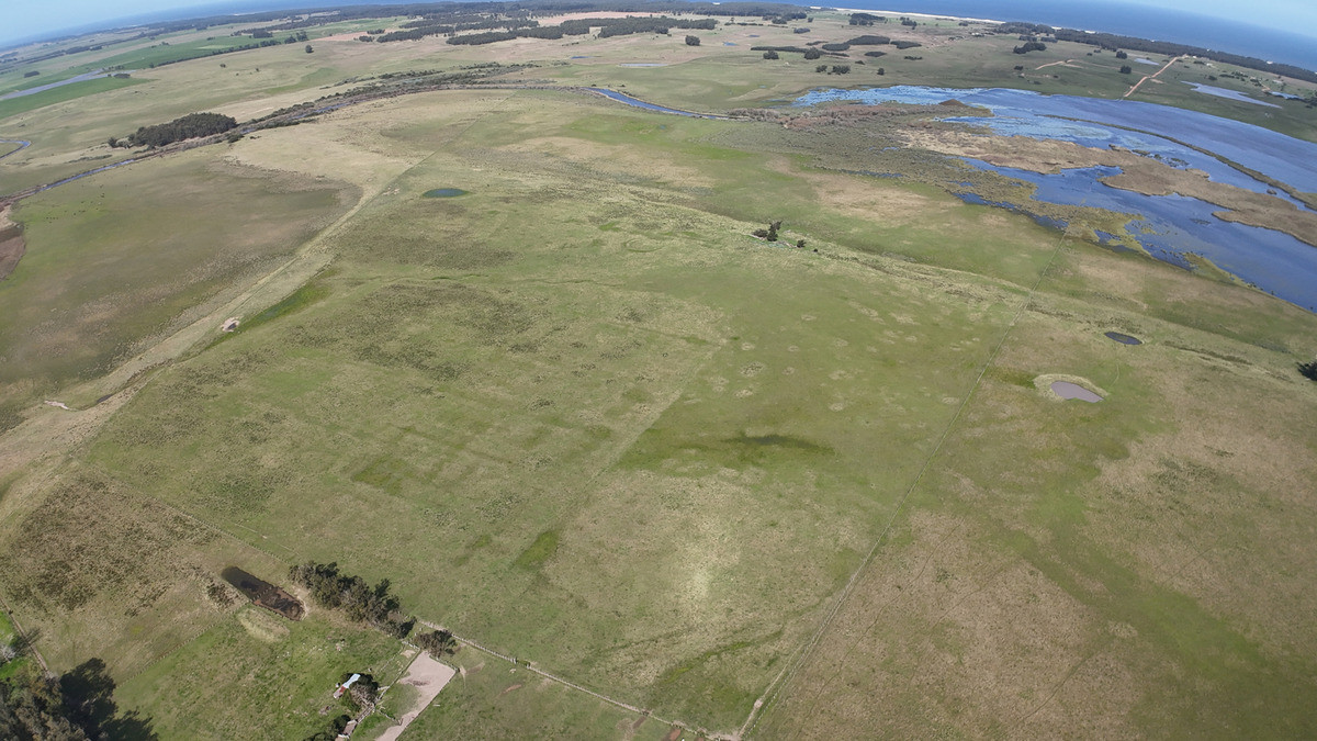Campo Garzon 78 Hectareas
