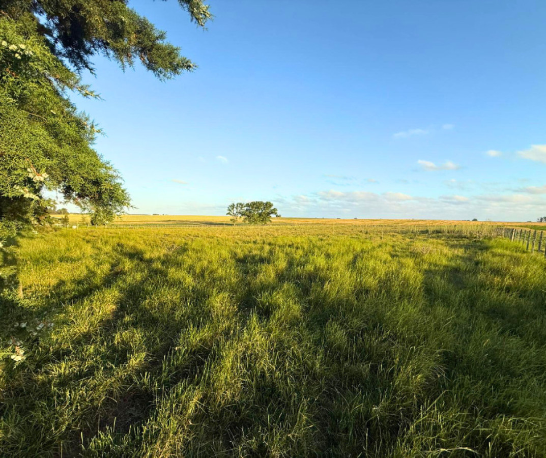 Casa ID.200 - ¡Oportunidad única en San Pedro!