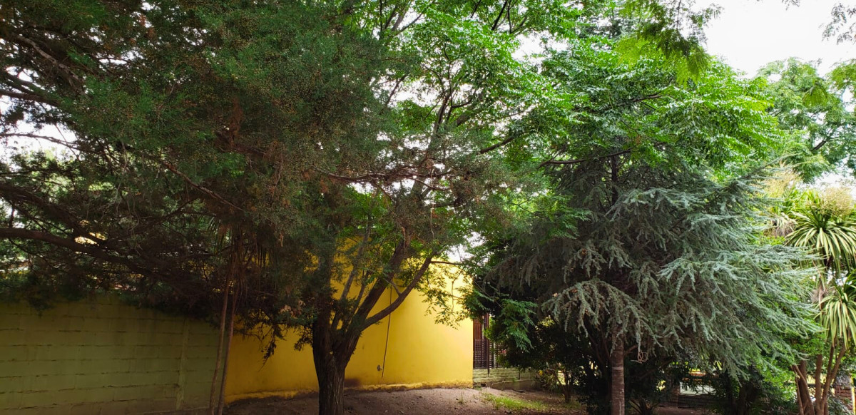 Casa ID.63 - Casa en Venta en Real de San Carlos | Colonia del Sacramento