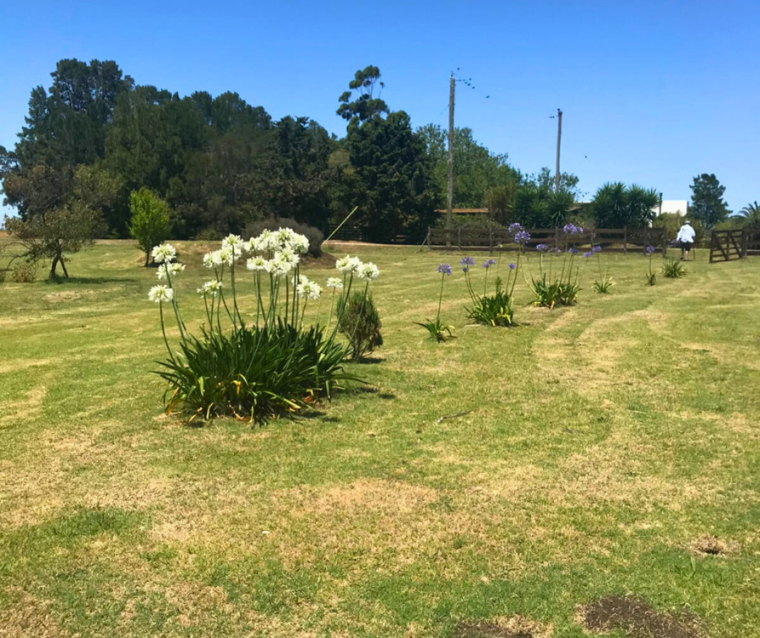 Casa ID.160 - Casa en Alquiler - San Pedro