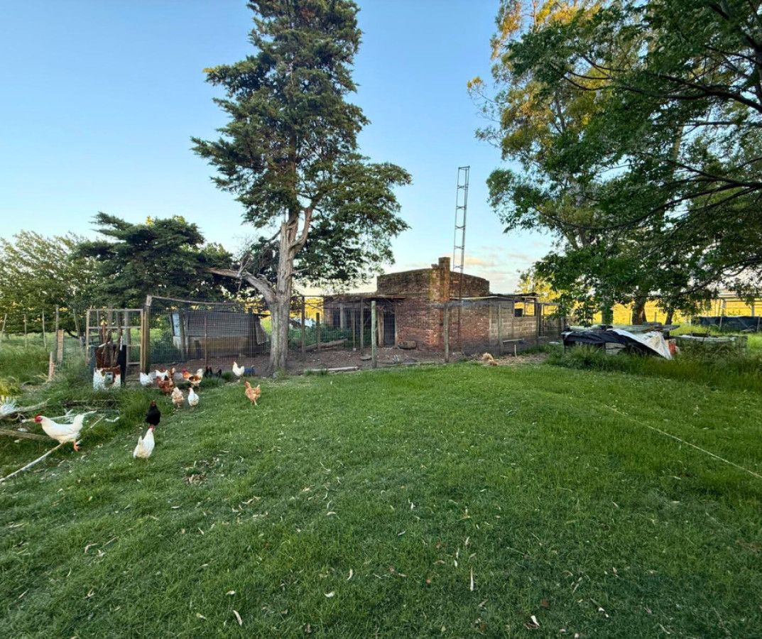 Casa ID.200 - ¡Oportunidad única en San Pedro!