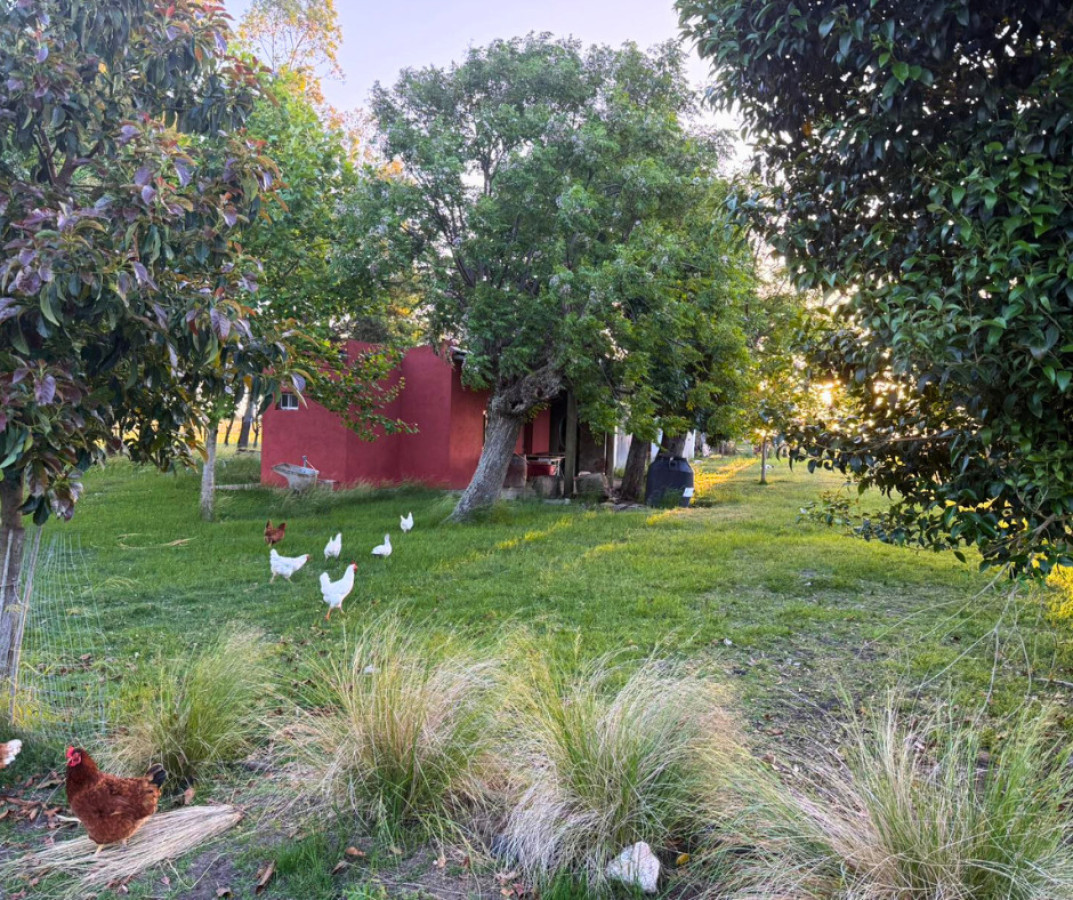 Chacra ID.199 - ¡Oportunidad única en San Pedro! 