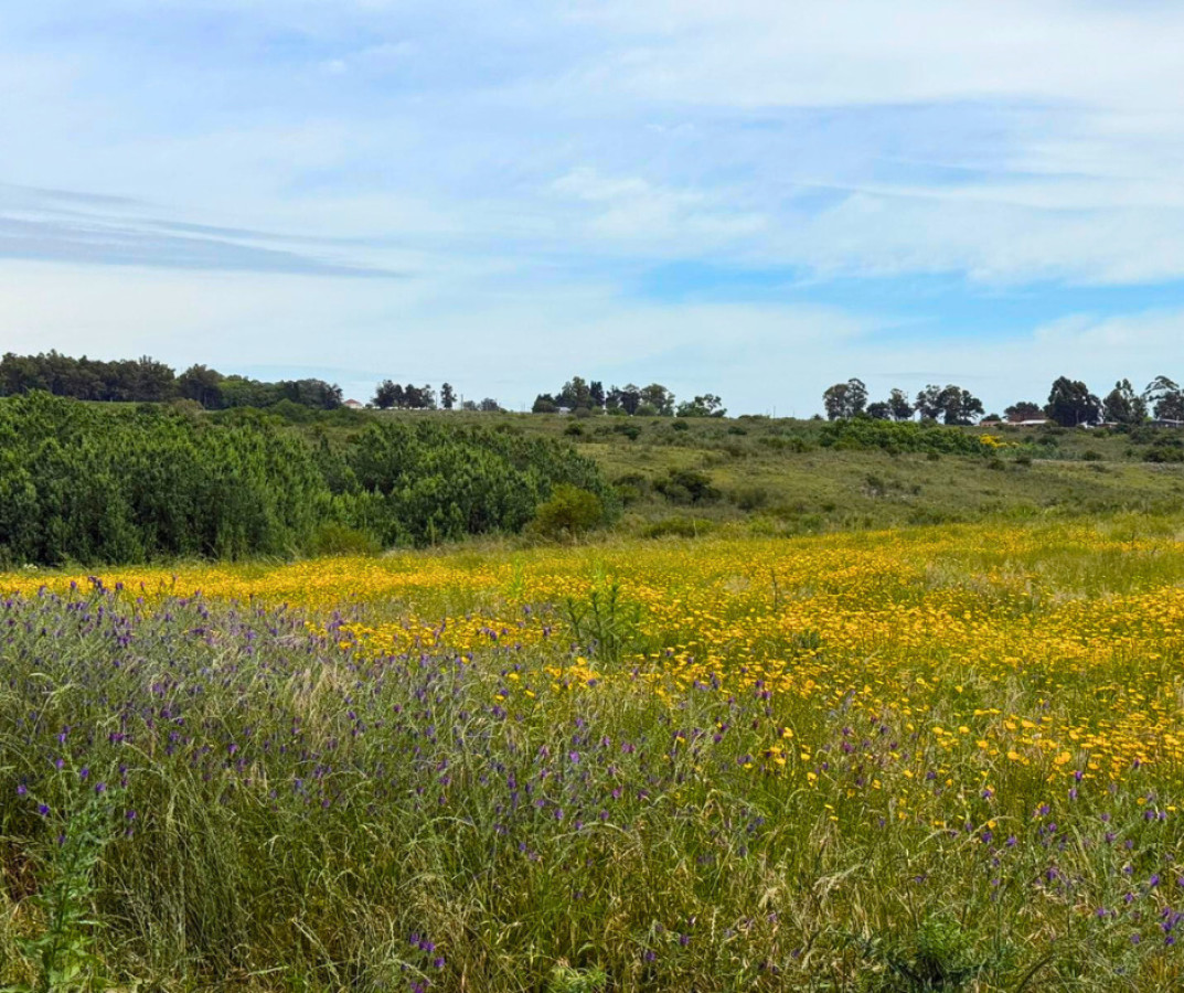 Chacra ID.201 - ¡Gran oportunidad en la Radial de Rosario!