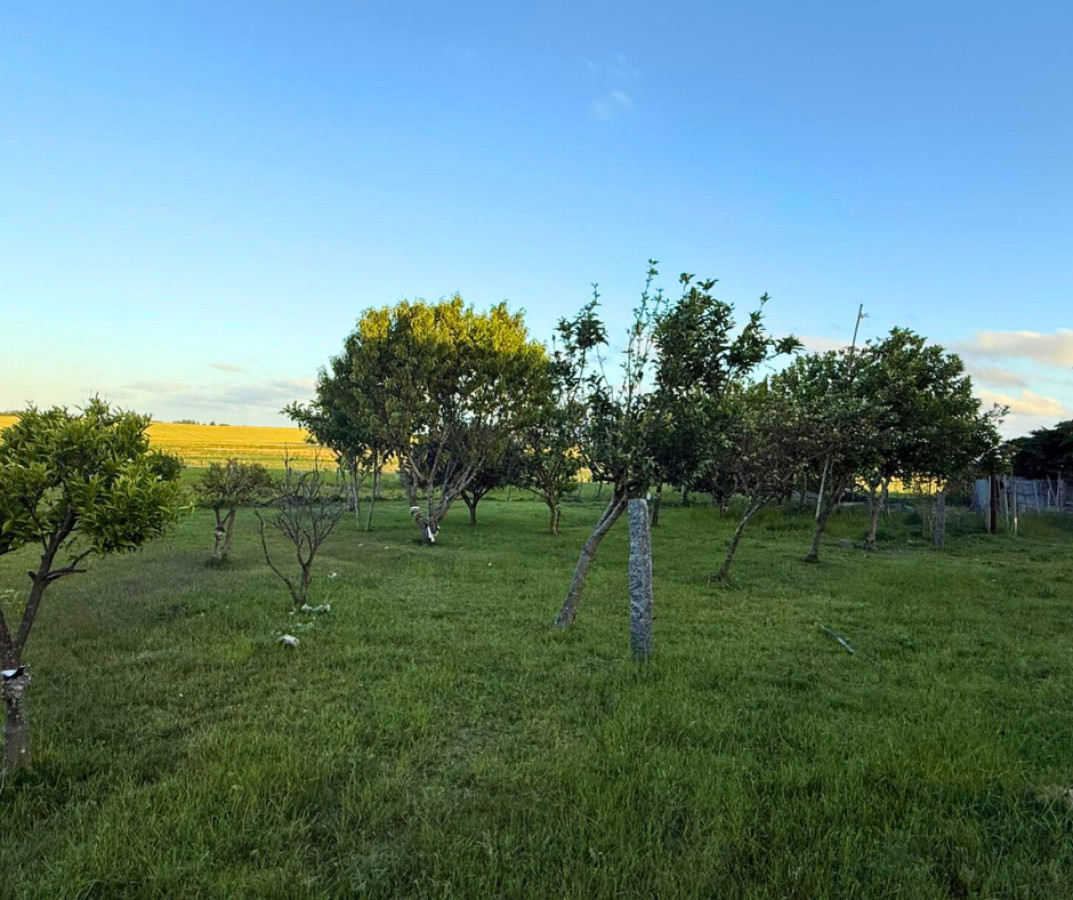 Chacra ID.199 - ¡Oportunidad única en San Pedro! 