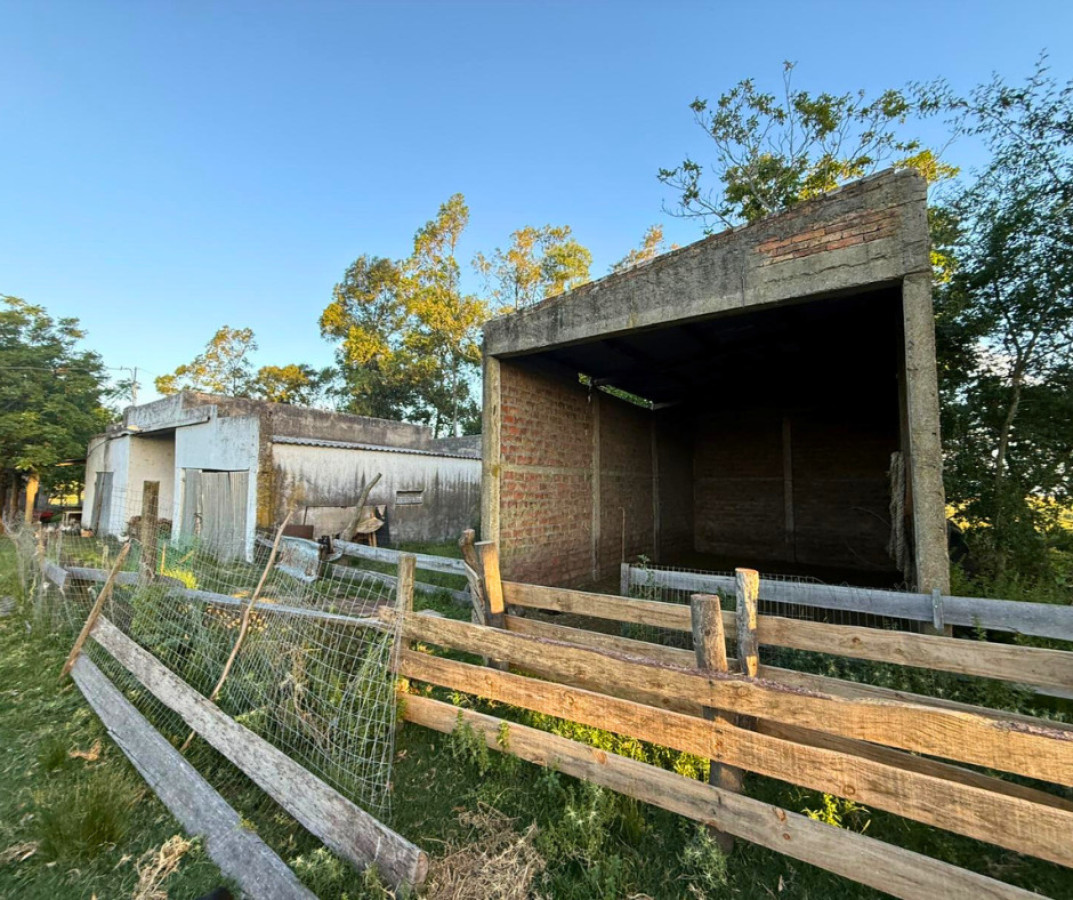 Chacra ID.199 - ¡Oportunidad única en San Pedro! 