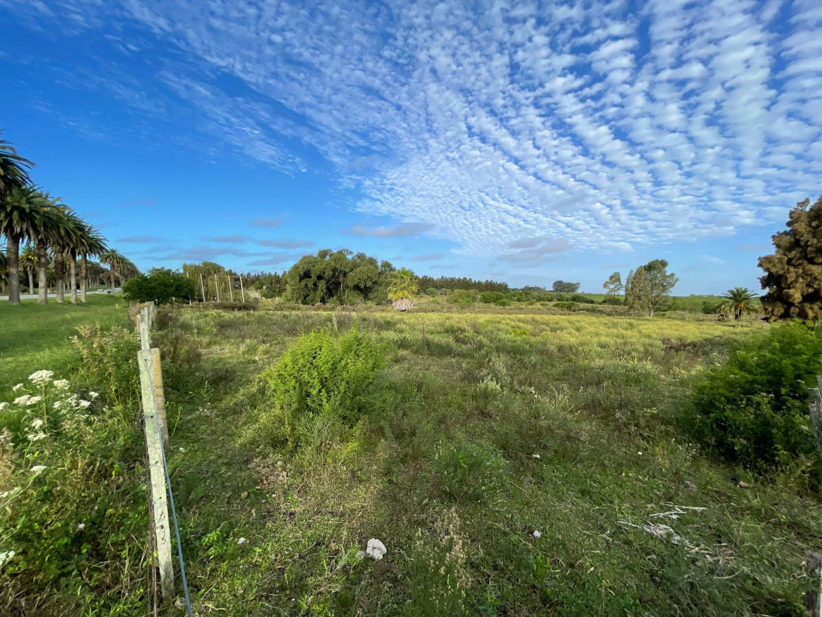 Terreno ID.49 - Terreno en Venta | 1 Hectárea con Frente a Ruta 1 | Precio: U$D 90.000