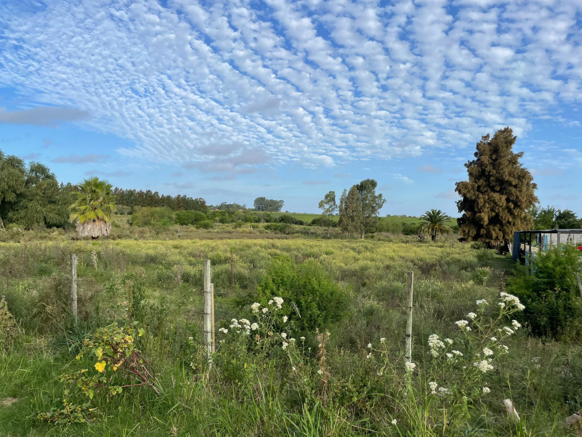Terreno ID.49 - Terreno en Venta | 1 Hectárea con Frente a Ruta 1 | Precio: U$D 90.000