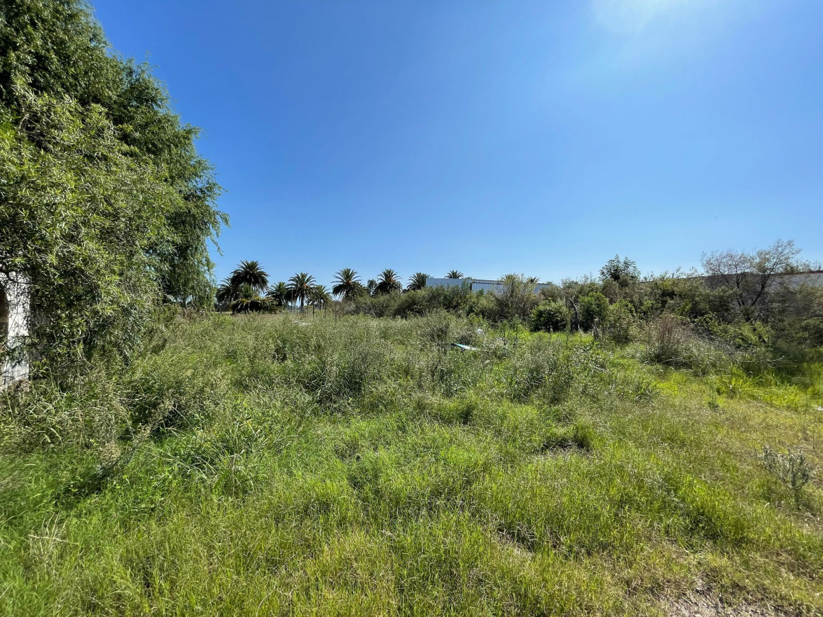 Terreno ID.9 - Terreno en Venta 300M - Los Altos del Calabre, Colonia del Sacramento