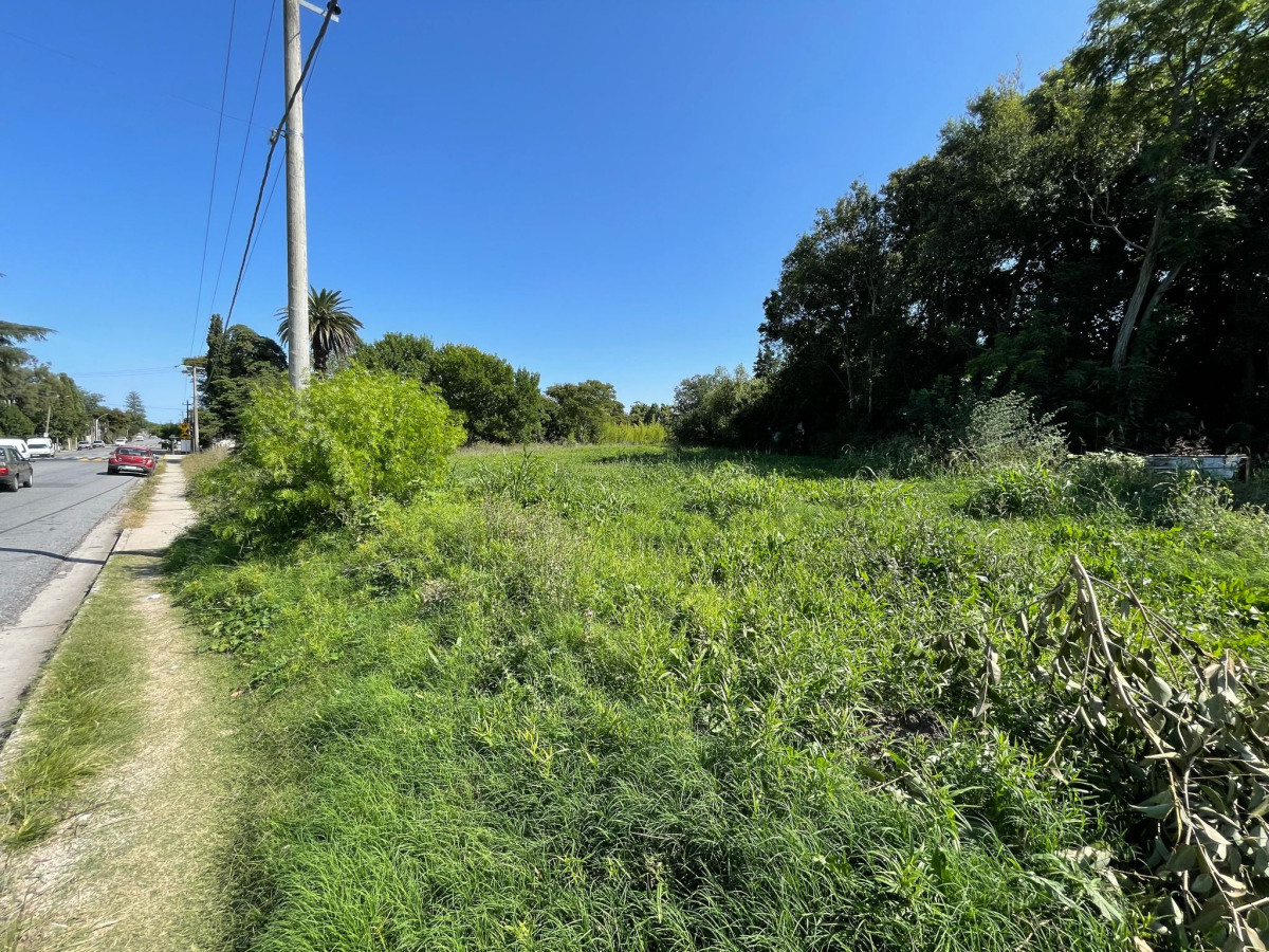 Terreno ID.11 - Terreno en Venta - Barrio Real de San Carlos, Colonia del Sacramento