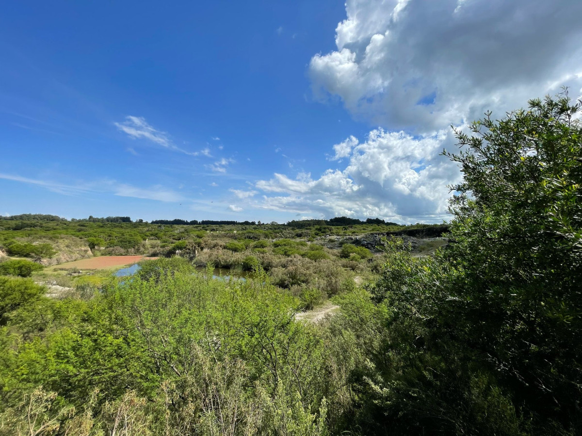 Terreno ID.42 - Terreno de 6 Hectáreas con Cantera | Proximidad a la Costa | Colonia del Sacramento
