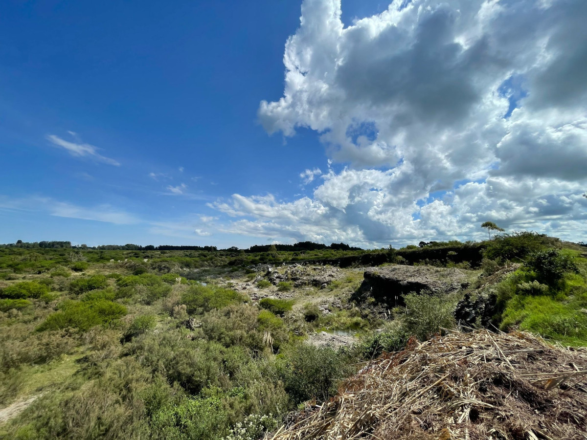 Terreno ID.42 - Terreno de 6 Hectáreas con Cantera | Proximidad a la Costa | Colonia del Sacramento