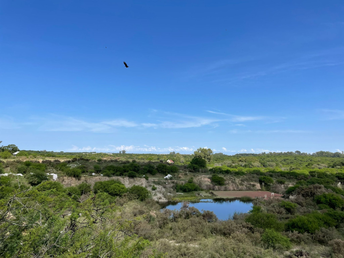 Terreno ID.42 - Terreno de 6 Hectáreas con Cantera | Proximidad a la Costa | Colonia del Sacramento