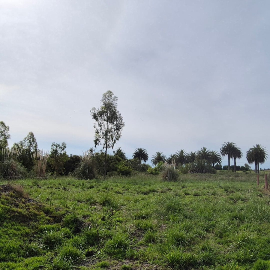Terreno ID.76 - Terreno en Venta en Zona Urbana de Riachuelo | Colonia del Sacramento U$S 26.000 | 1.000 m² | Frente a dos calles