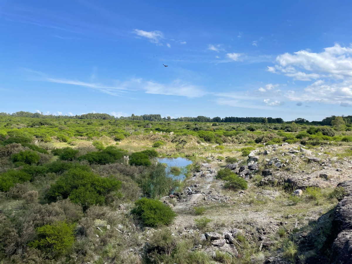 Terreno ID.42 - Terreno de 6 Hectáreas con Cantera | Proximidad a la Costa | Colonia del Sacramento