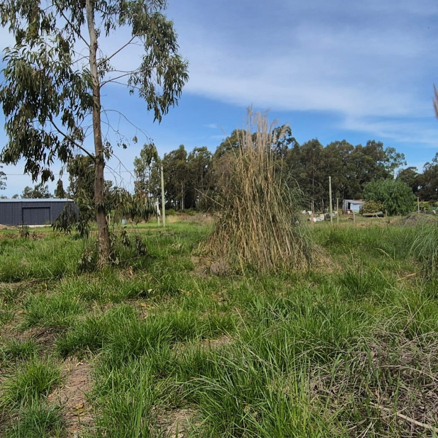 Terreno ID.76 - Terreno en Venta en Zona Urbana de Riachuelo | Colonia del Sacramento U$S 26.000 | 1.000 m² | Frente a dos calles