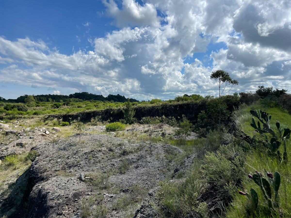 Terreno ID.42 - Terreno de 6 Hectáreas con Cantera | Proximidad a la Costa | Colonia del Sacramento