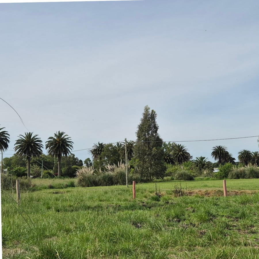 Terreno ID.76 - Terreno en Venta en Zona Urbana de Riachuelo | Colonia del Sacramento U$S 26.000 | 1.000 m² | Frente a dos calles
