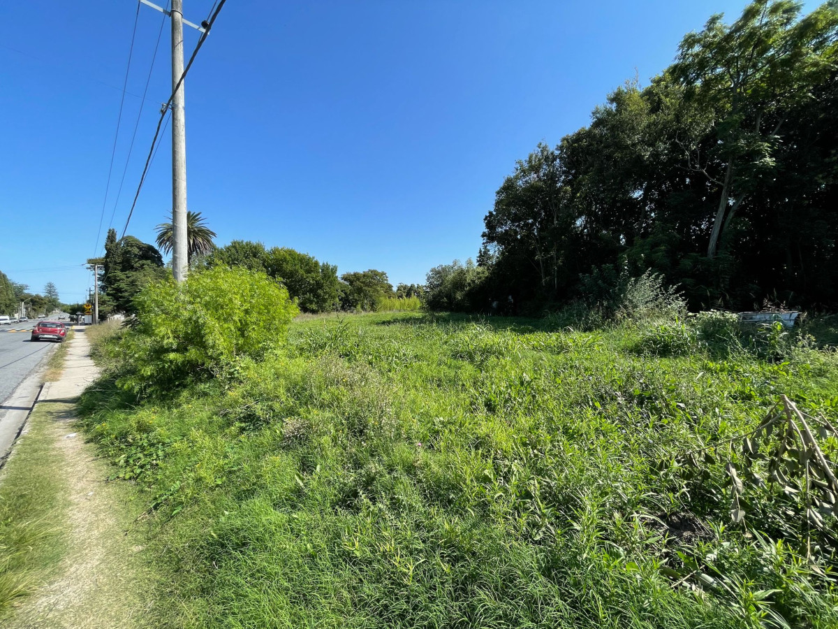 Terreno ID.10 - Terreno en Venta - Barrio Real de San Carlos, Colonia del Sacramento