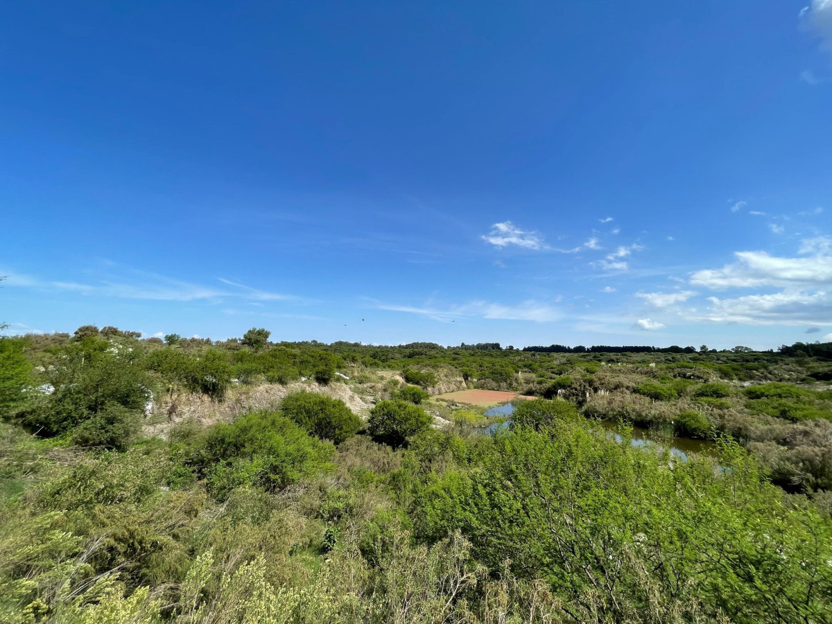 Terreno ID.42 - Terreno de 6 Hectáreas con Cantera | Proximidad a la Costa | Colonia del Sacramento