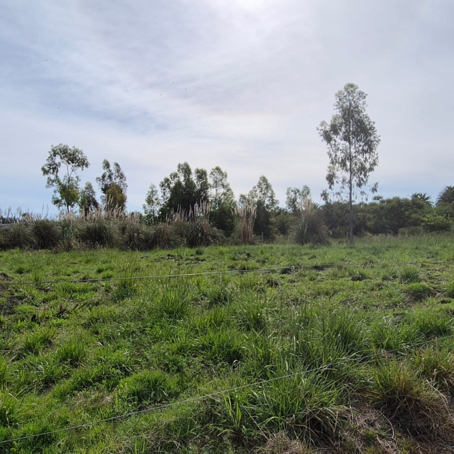 Terreno ID.76 - Terreno en Venta en Zona Urbana de Riachuelo | Colonia del Sacramento U$S 26.000 | 1.000 m² | Frente a dos calles