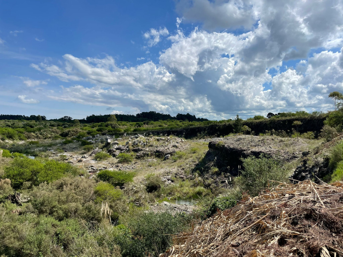 Terreno ID.42 - Terreno de 6 Hectáreas con Cantera | Proximidad a la Costa | Colonia del Sacramento