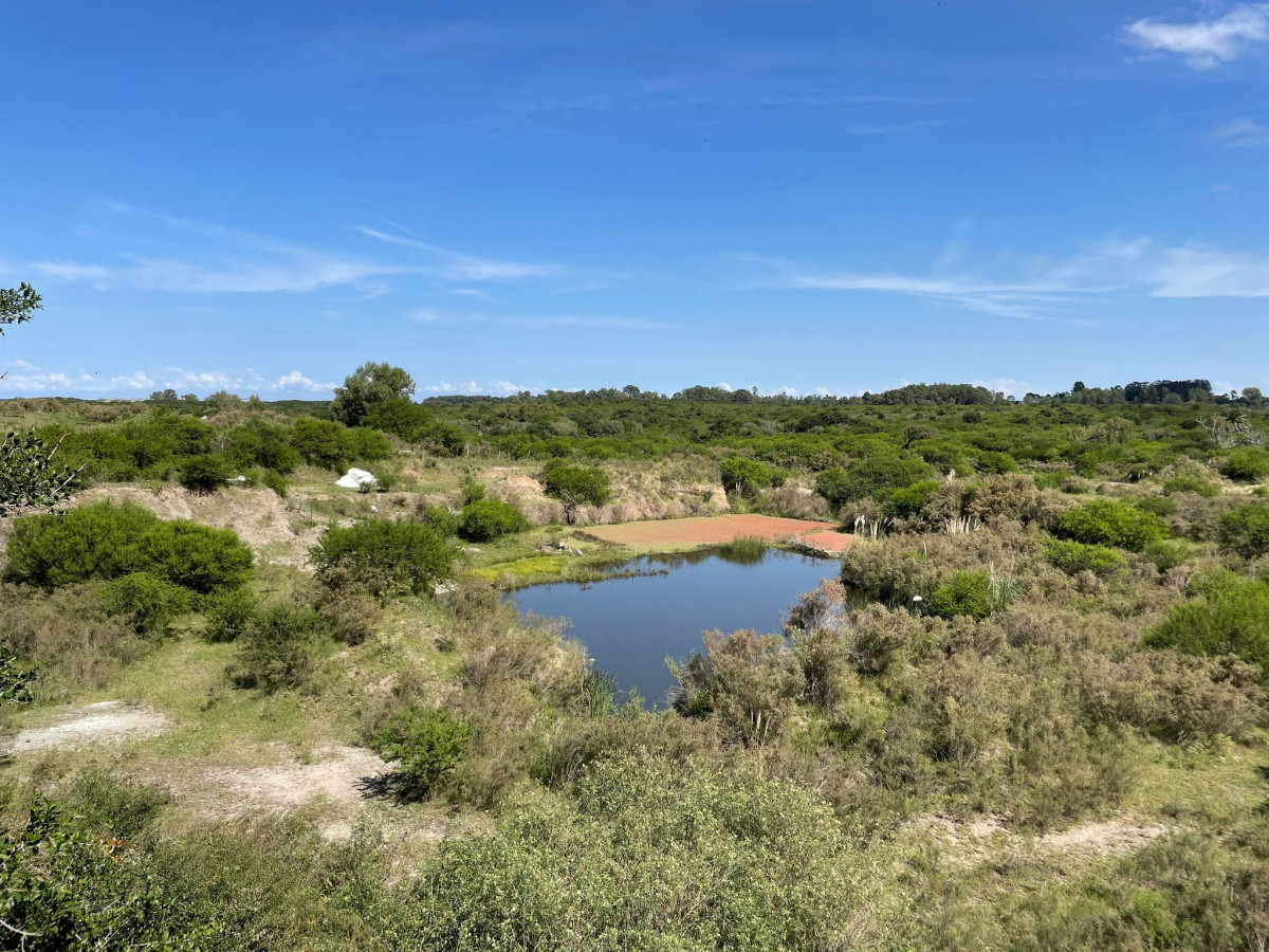 Terreno ID.42 - Terreno de 6 Hectáreas con Cantera | Proximidad a la Costa | Colonia del Sacramento