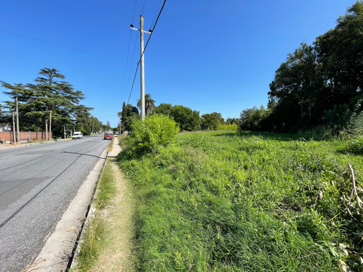 Terreno ID.10 - Terreno en Venta - Barrio Real de San Carlos, Colonia del Sacramento