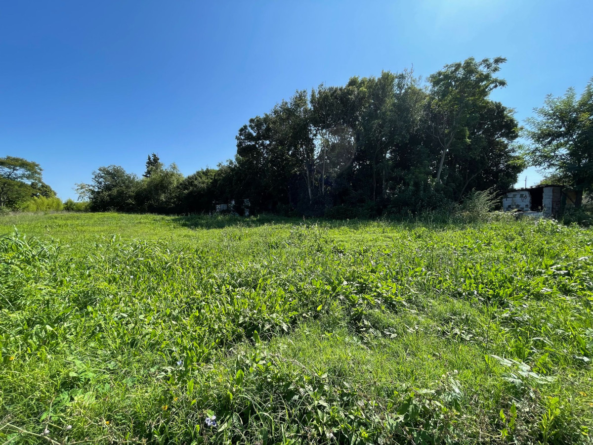 Terreno en Venta - Barrio Real de San Carlos, Colonia del Sacramento