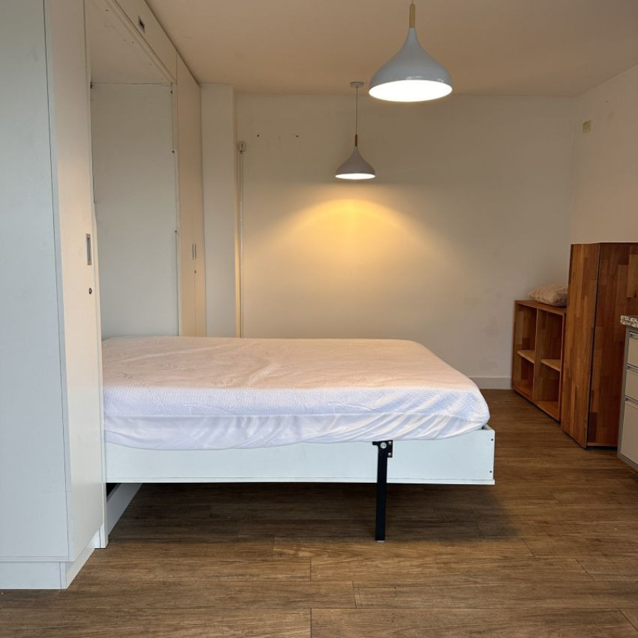 Apartamento ID.186 - Alquiler apartamento monoambiente semi amoblado en Punta Carretas piso 8 con gran terraza.