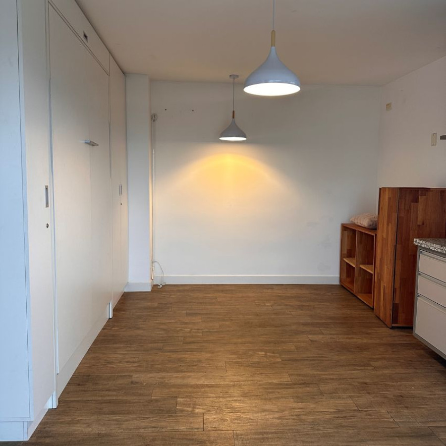 Apartamento ID.186 - Alquiler apartamento monoambiente semi amoblado en Punta Carretas piso 8 con gran terraza.