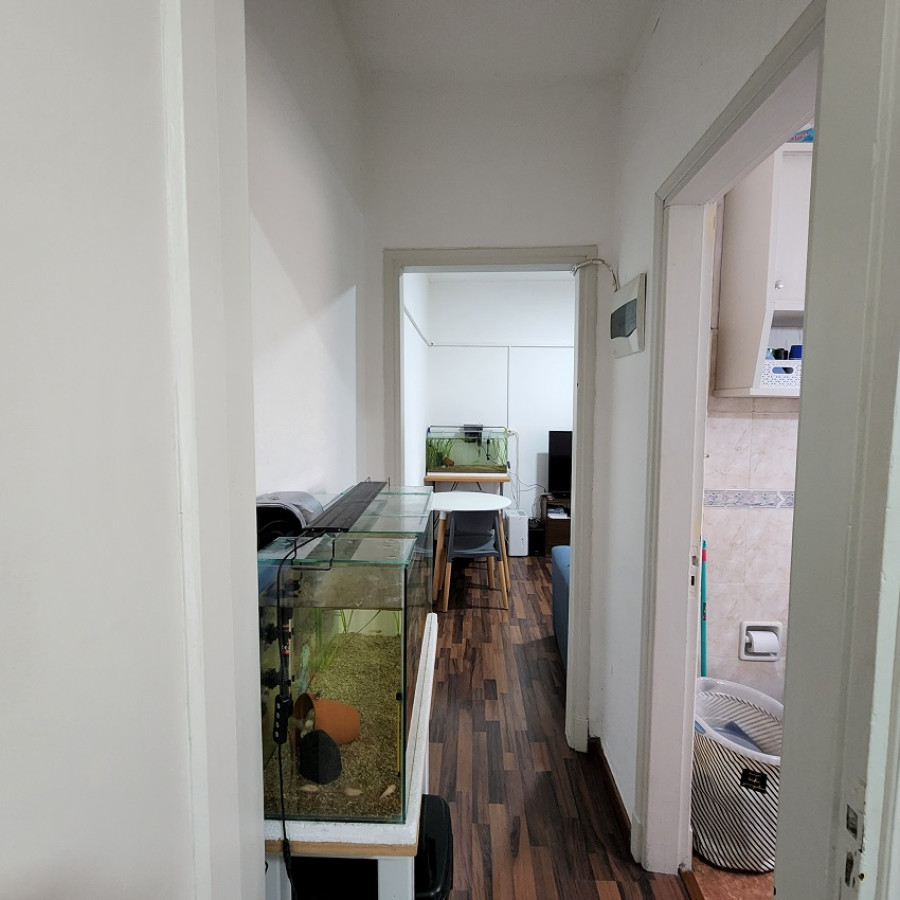 Apartamento ID.101 - Alquiler apartamento Prado 1 dormitorio con bajos gastos comunes