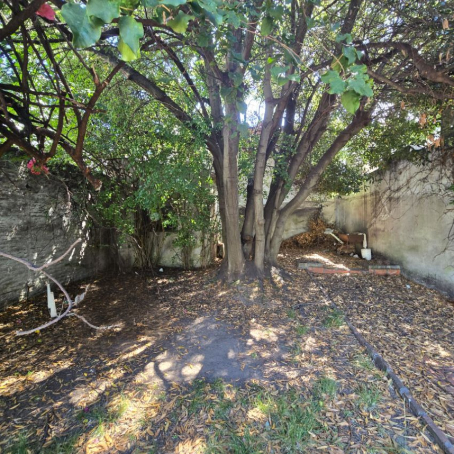 Casa ID.163 - Venta casa Parque Batlle a reciclar 3 dormitorios, 3 baños, fondo, garaje.