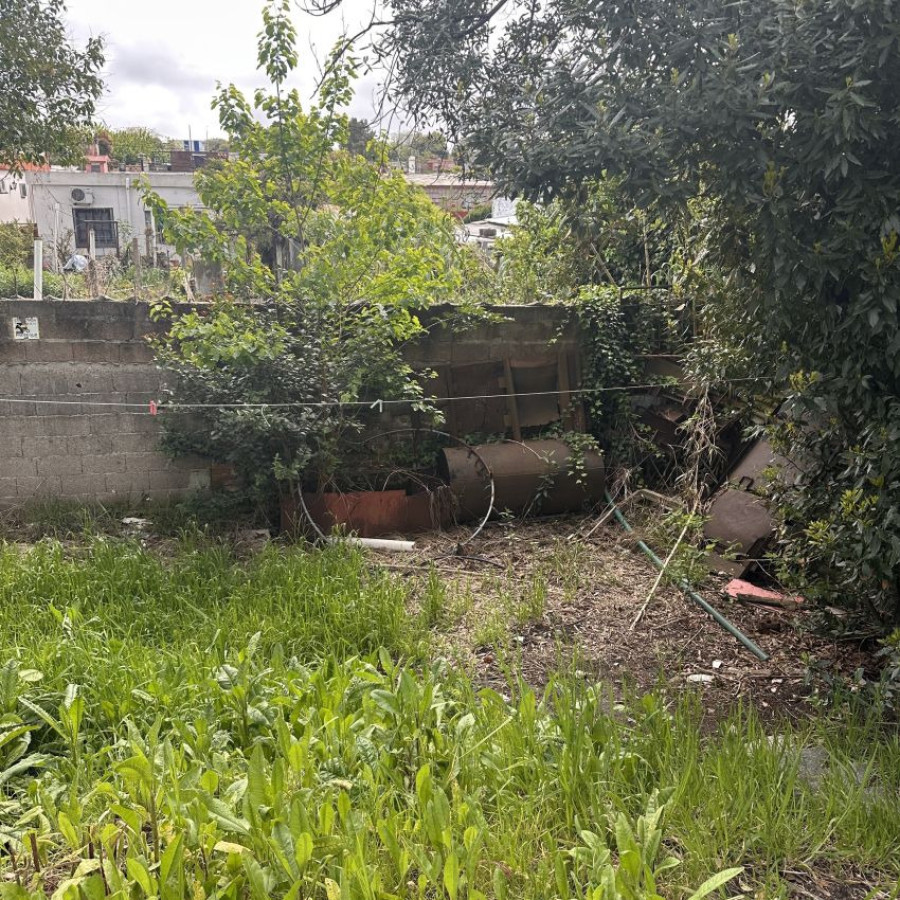 Casa ID.271 - Alquiler apartamento, 2 dormitorios, Cerro.